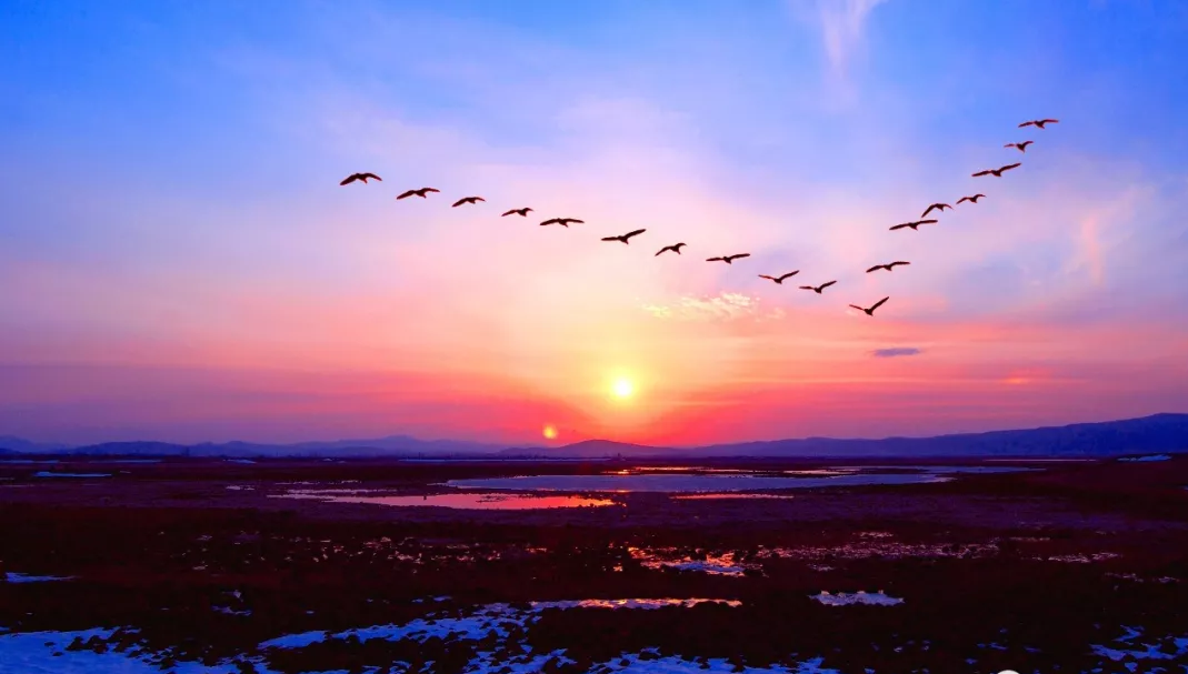 mg����ͻ��(�й���)�ٷ���վ