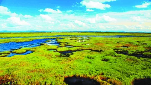 ��������ս �����ж���