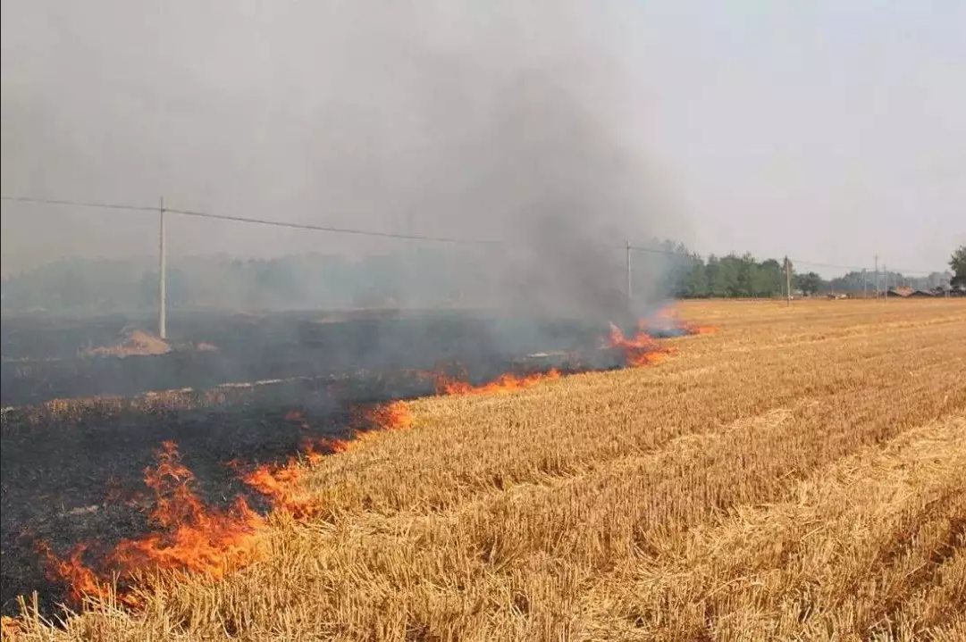 ȫ��λ��ȫ���֡�����ʵʱ��أ����յĽո�����գ�