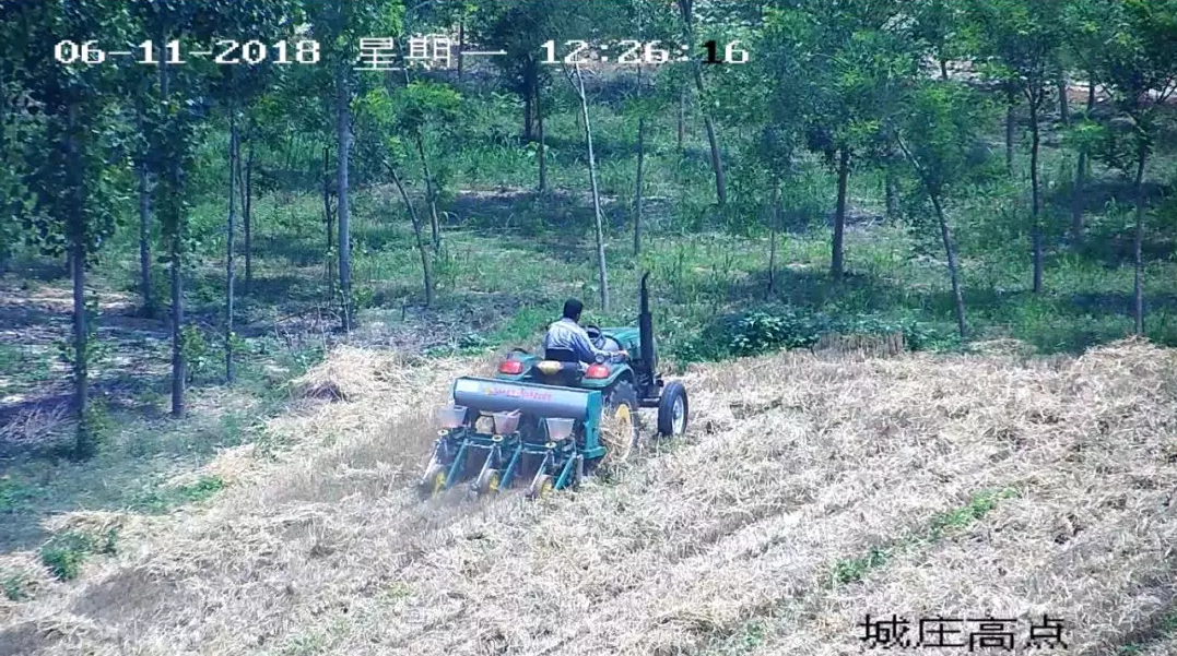 mg����ͻ��(�й���)�ٷ���վ