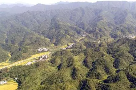 ��ɫͨɽ���������� ͨɽ��չ��ҵ�����߱�