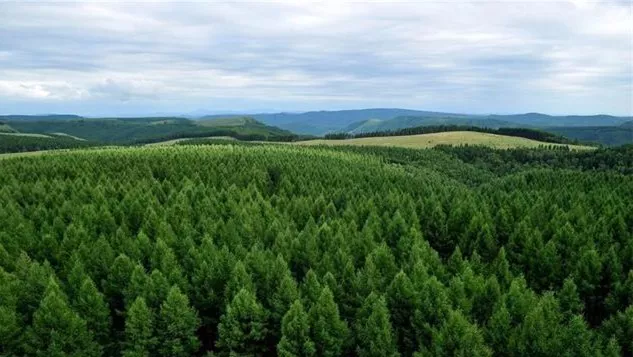 mg����ͻ��(�й���)�ٷ���վ