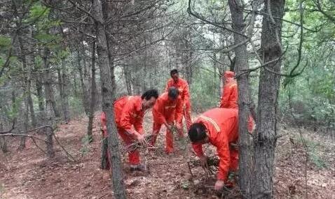 mg����ͻ��(�й���)�ٷ���վ