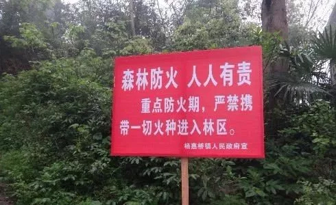 mg����ͻ��(�й���)�ٷ���վ