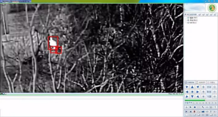 ɭ�ַ���Ԥ��ϵͳ