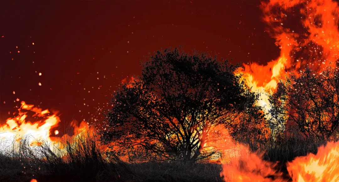 mg����ͻ��(�й���)�ٷ���վ