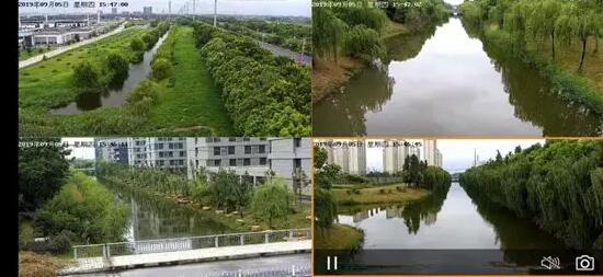 ����ʵ��Ұ���Դ��Ƶ��� ����ɭ�ַ�����Ƶ�������8��