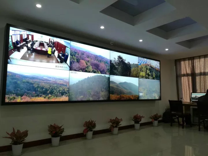 Զ�̼�ء���Ϣ������ͳһָ�ӡ�����������������������ɭ�ַ���߿Ƽ���