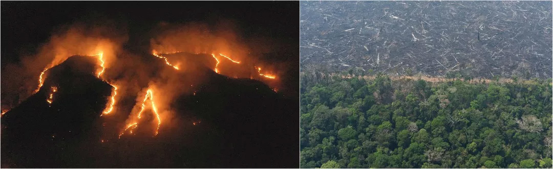 mg����ͻ��(�й���)�ٷ���վ