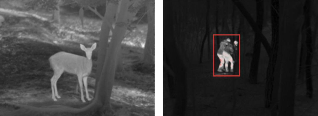 mg����ͻ��(�й���)�ٷ���վ