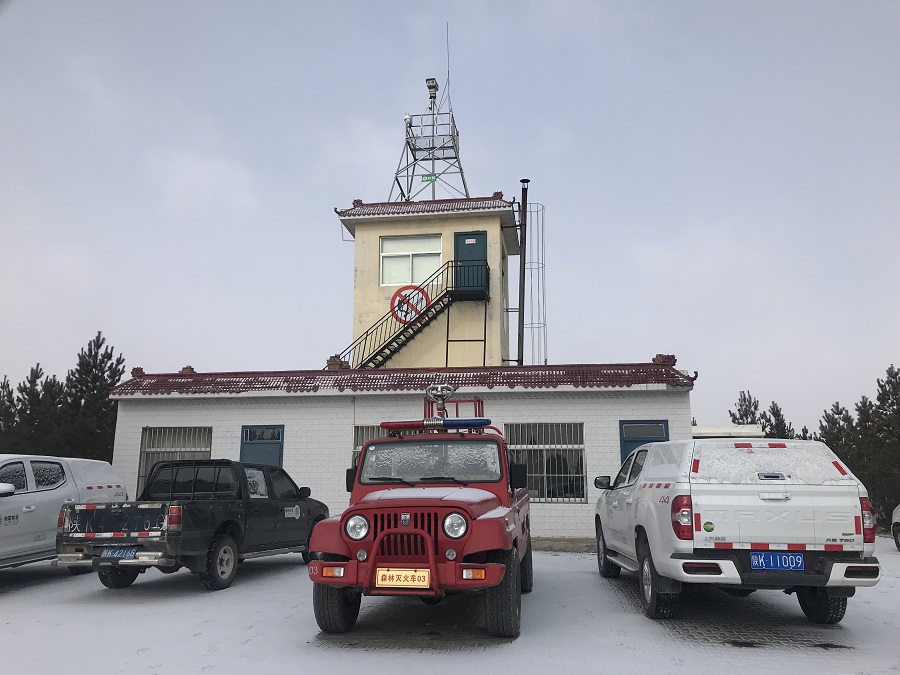 mg����ͻ�ƹ������Ϊ��������ĳ�ֳ�ɭ�ַ�����ϵͳ��Ƽƻ�