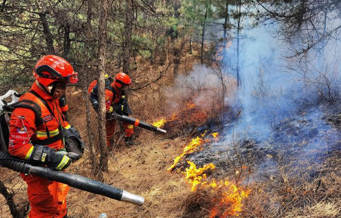 ɭ�ַ���Ԥ�����ϵͳ