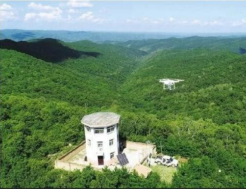 ɭ�ַ���Ԥ�����ϵͳ