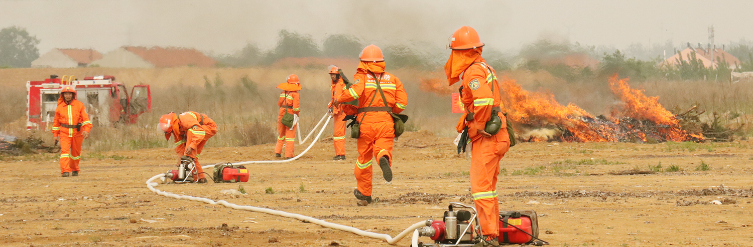 ɭ�ּ����̨�����