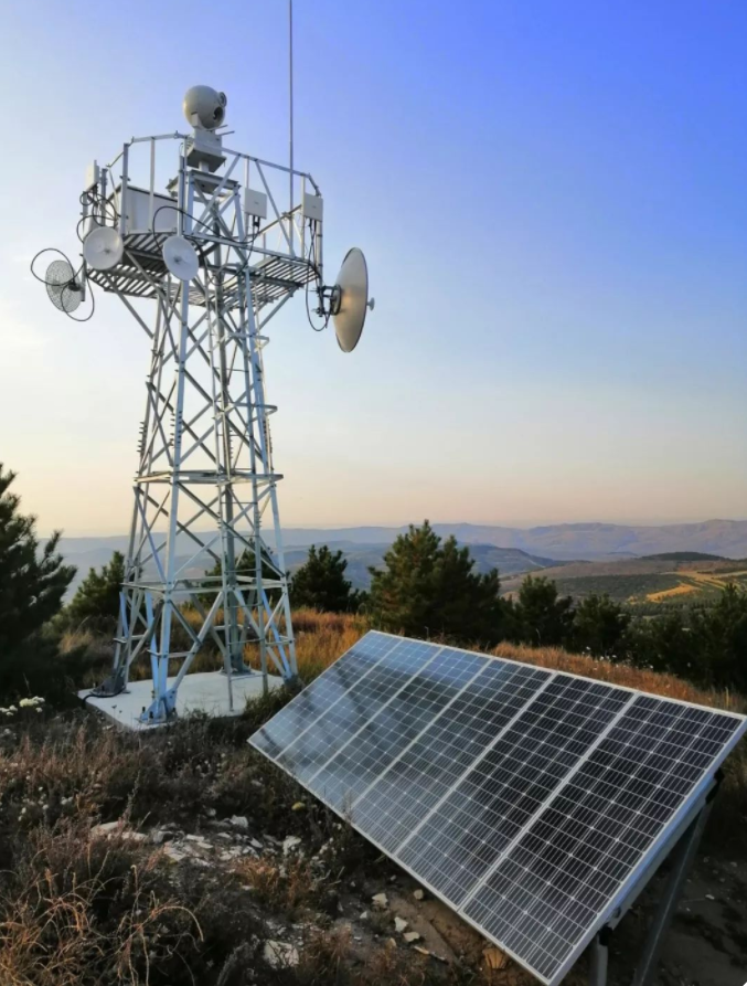 ɭ�ַ�����Ƶ���ϵͳ