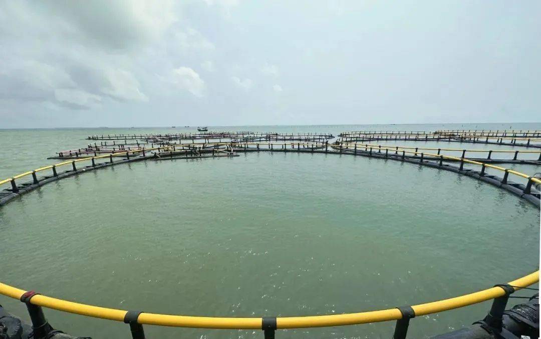 ��������ʵʱ����������Ⱦ��̬���Ӽ��ϵͳ����ƻ�