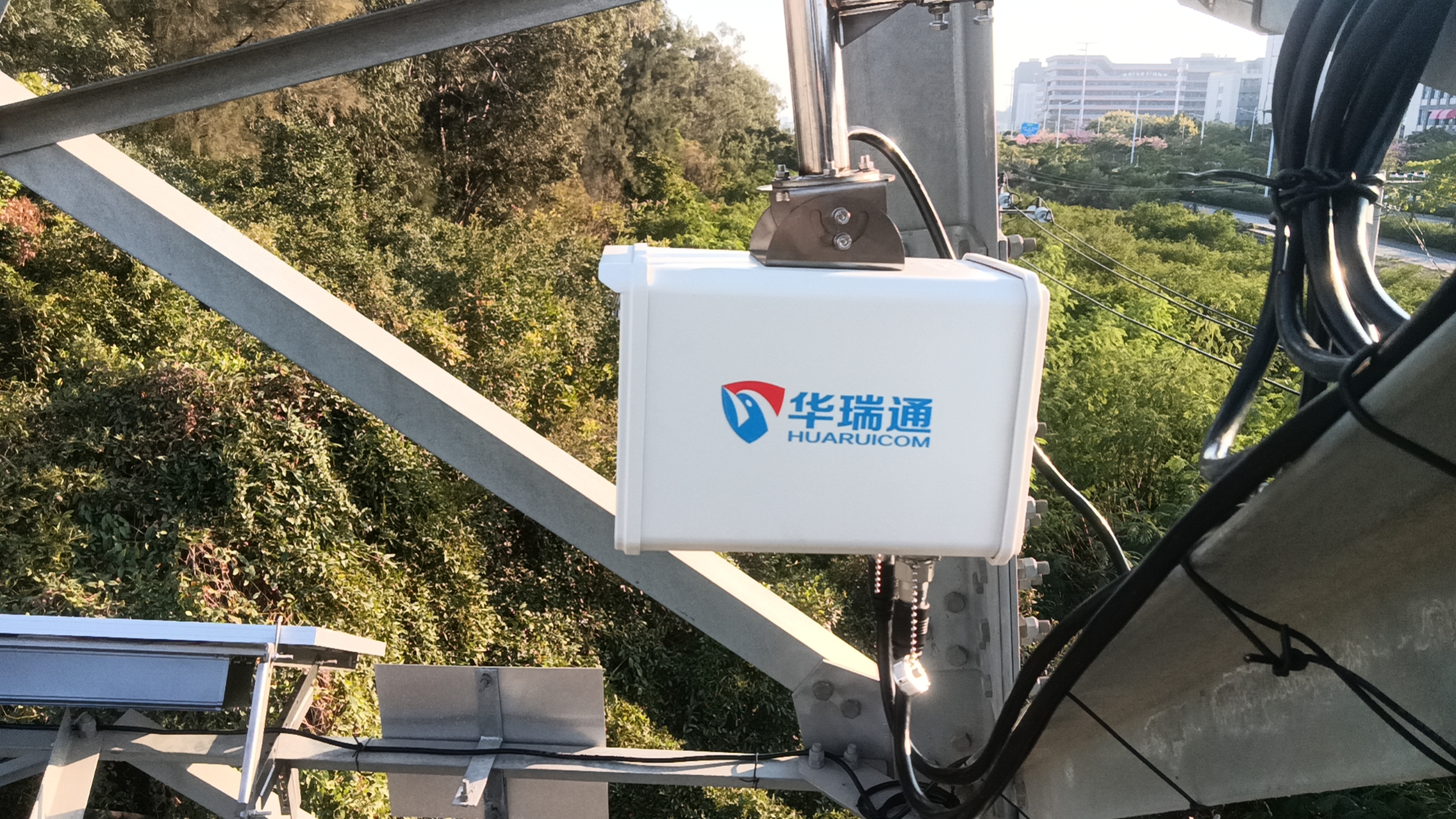 ɭ���ȳ�����������