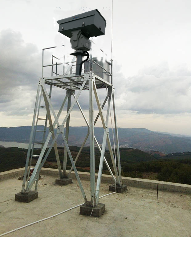 һ�廯������ɭ������̨�����