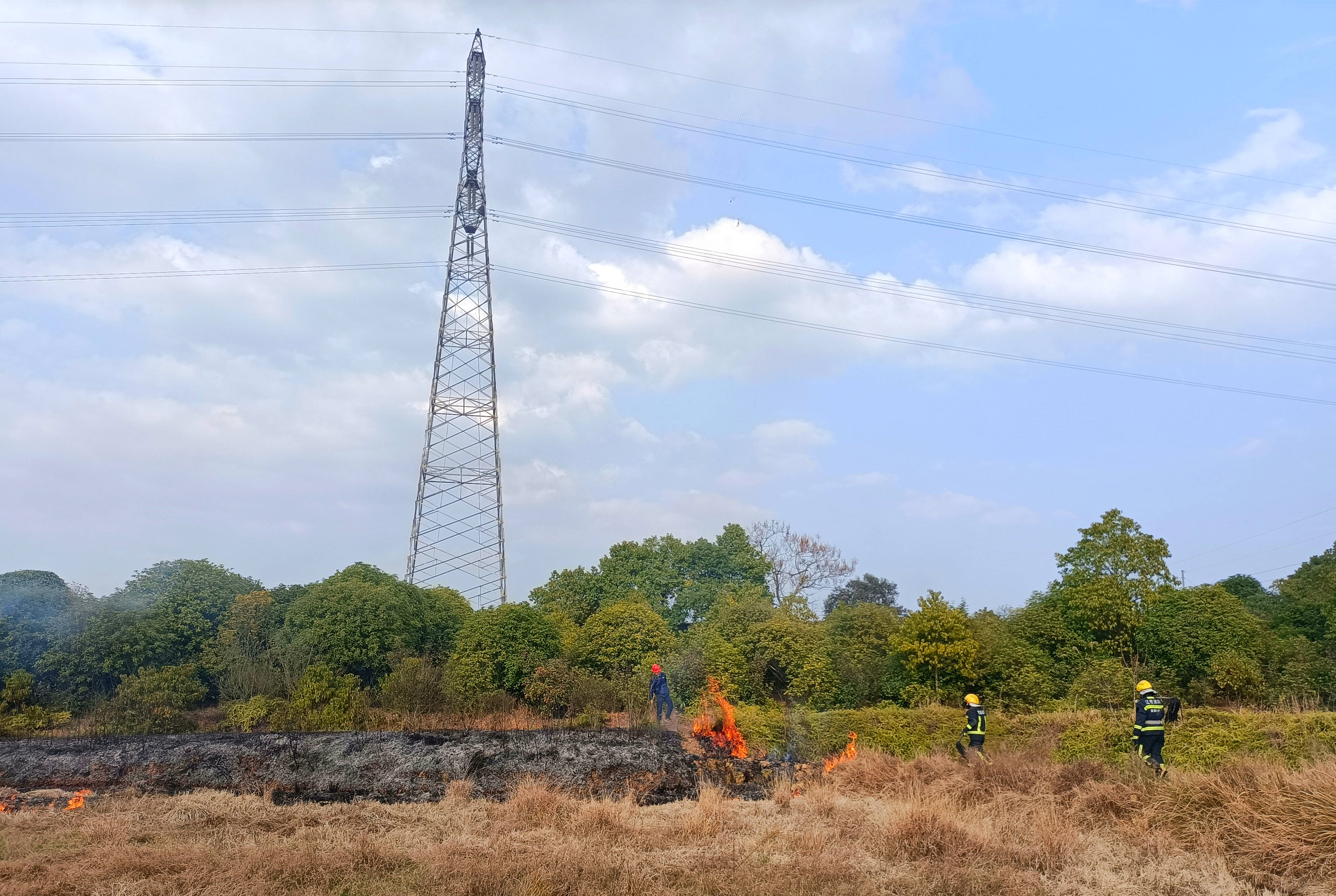 ɭ�ֲ�ԭ������