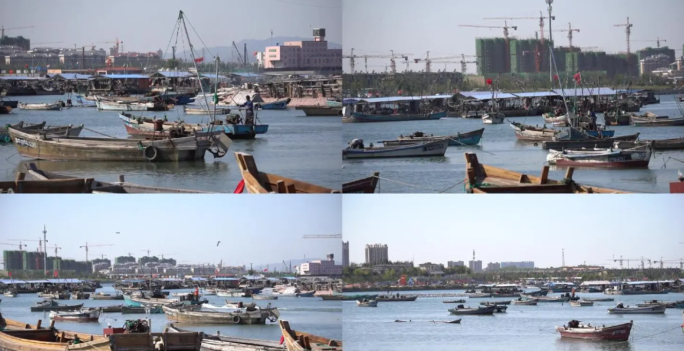 ��۸�����Ƶ���������ƻ�