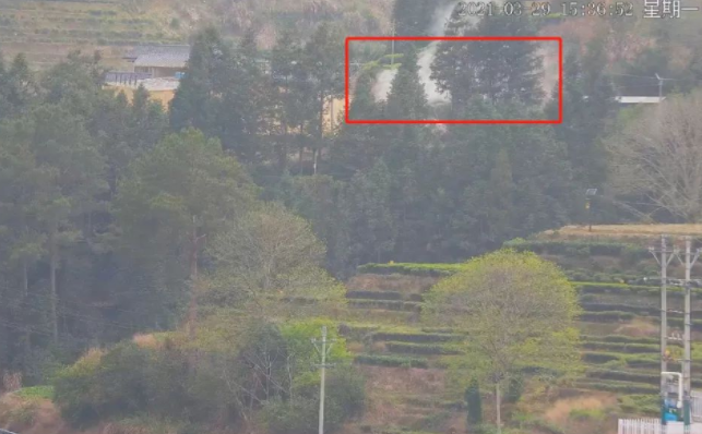 mg����ͻ�ƹ��������Ŀ˾�������ܽᣬ������������ɭ�ַ����ص�7������