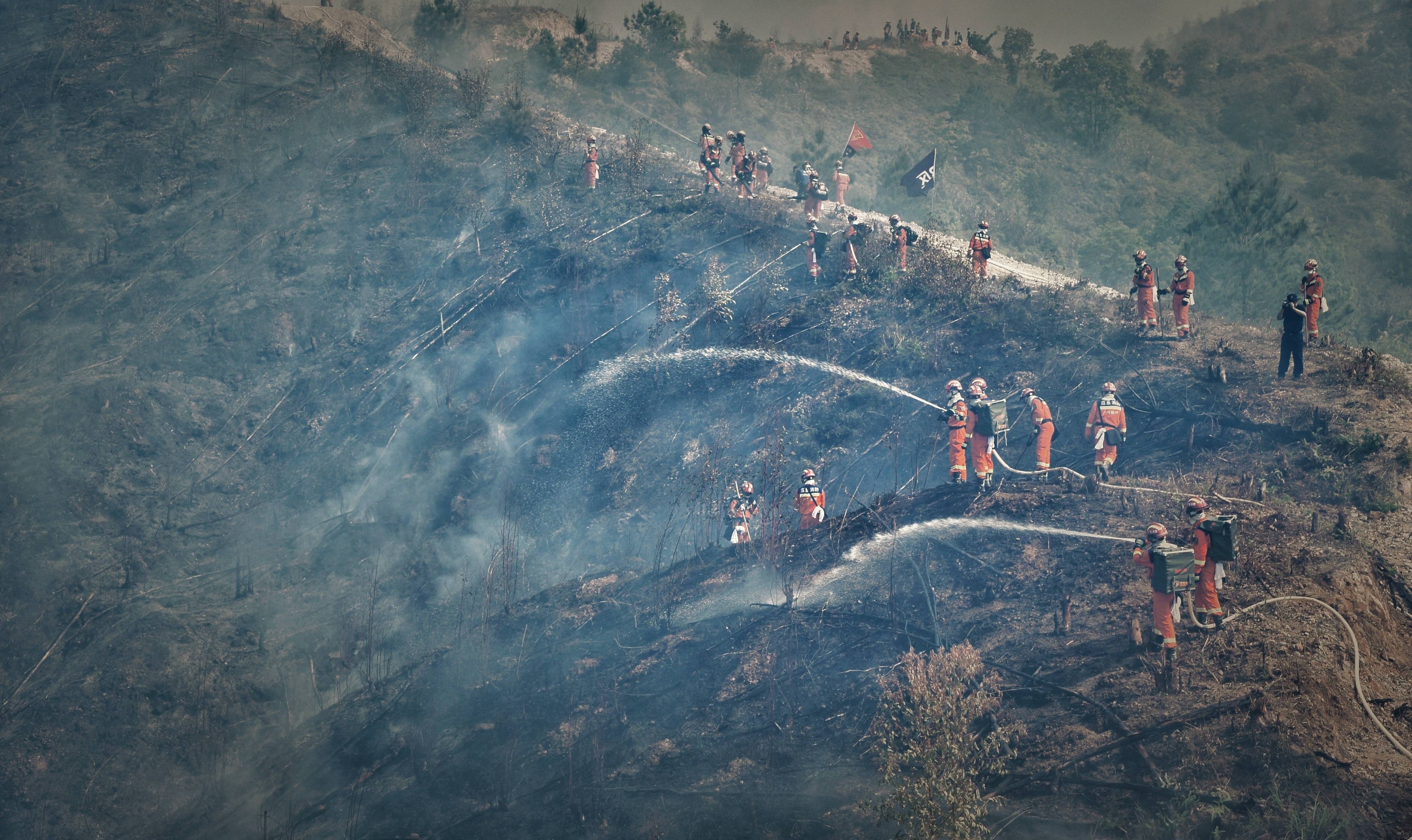 ����������������ɭ�ֻ���Ԥ���·�ʽ��˫������̨������������ܷ���ʵ��