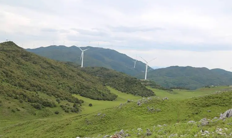 ˫���������