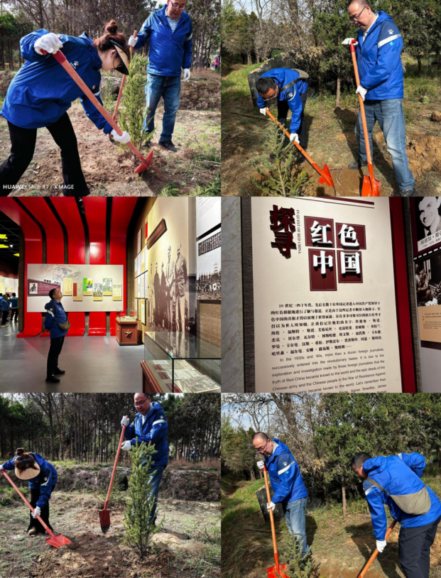 mg冰球突破(中国游)官方网站