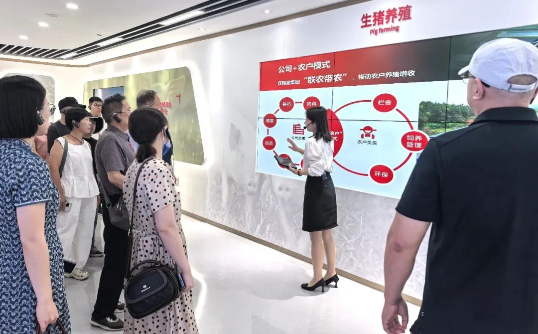 mg冰球突破(中国游)官方网站